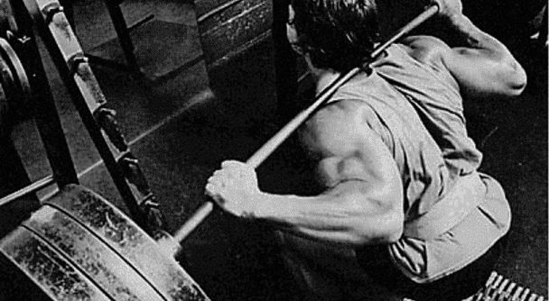 The common wisdom that every good program is built around squats could not be more true.  The squat utilizes almost every muscle in your body, teaches you to use your muscle synergistically, and is the cornerstone for producing 26+ inch wheels that set the serious lifter apart from the casual gym-bro.